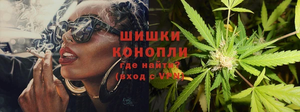 мдпв Пестово