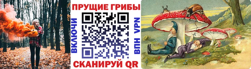 Галлюциногенные грибы Psilocybe  Кемерово 