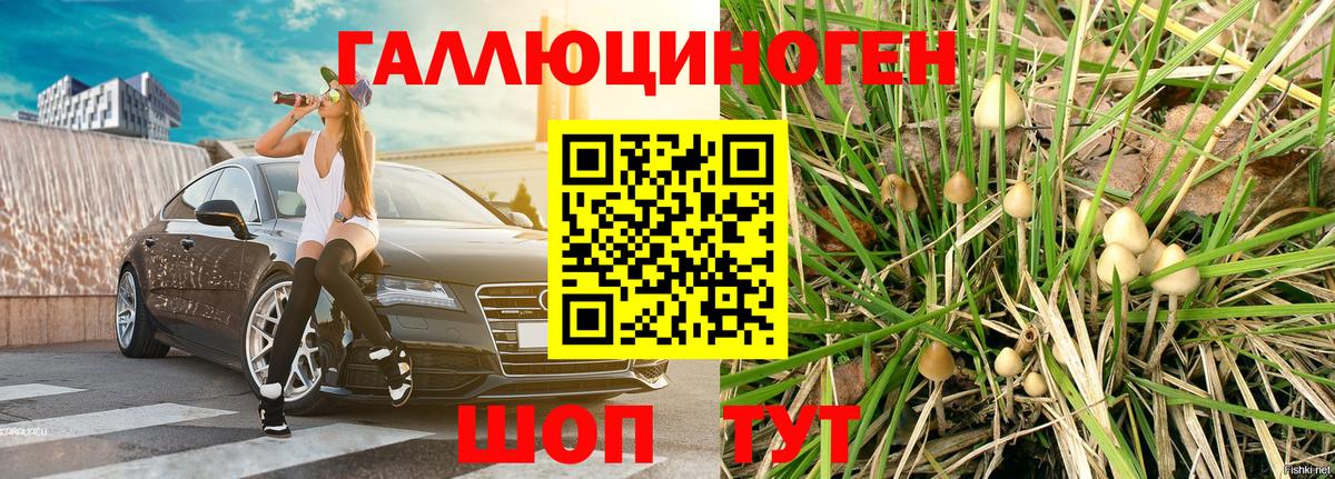 Галлюциногенные грибы мицелий  наркошоп  Кемерово 