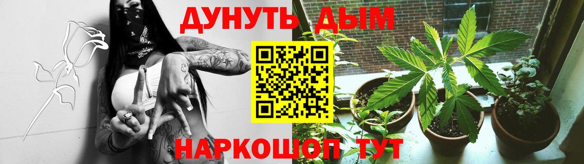МАРИХУАНА AK-47  Конопля план  Кемерово  МАРИХУАНА White Widow  Вход с VPN 
